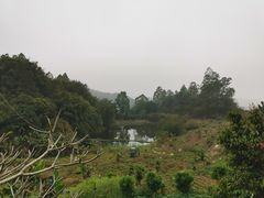 -天强农家菜馆