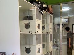 -沐沐家宠物(成寿寺店)