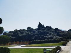 -横店圆明新园