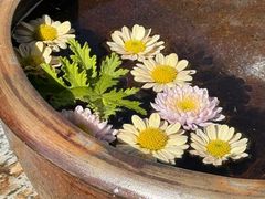 -翠田Green Field Kitchen