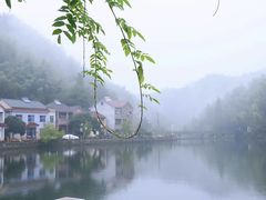 -江南天池
