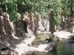 -燕塞湖鸟语林景区
