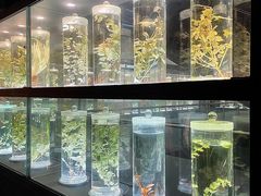 -广东中医药博物馆