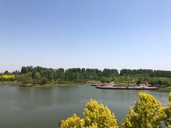 -东郊湿地公园