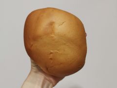 -白玉兰食品(甜云店)