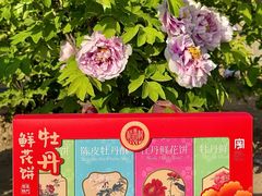 -曹州牡丹园