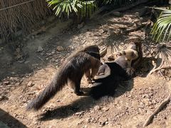 -上海野生动物园
