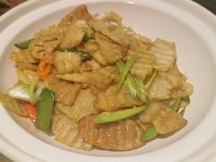 -蒙古大营(朝阳公园店)