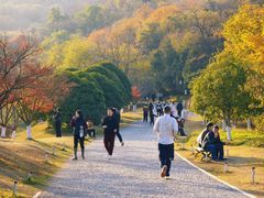 -南山风景名胜区