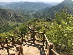 -大岭沟猕猴桃谷风景区