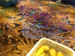 -驻海渔市(置信店)