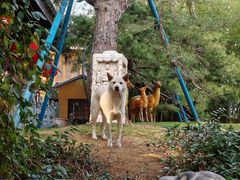 -龙华素斋(龙华路店)