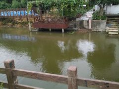 -南汇水蜜桃采摘(大团店)