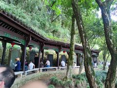 -严子陵钓台(富春江小三峡)