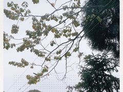 -泽雅七瀑涧景区