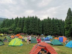 -武陵山森林公园