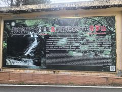 -海南热带雨林国家公园吊罗山景区