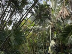 -深圳湾公园(南山区)