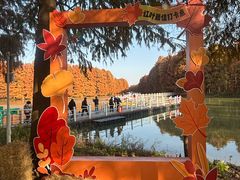 -上海海湾国家森林公园