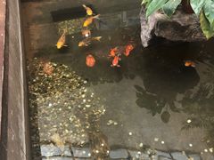 -农家大院(纪王店)