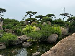 -罗红摄影艺术馆