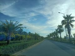 -北海金海湾红树林生态旅游区