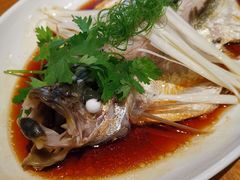 葱油蒸钱湖朋鱼-宁波柏悦酒店·钱湖渔港