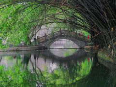 -棠湖公园