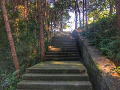 -铁山坪森林公园