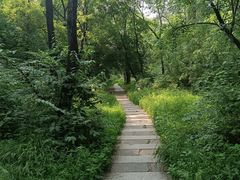 -长春市南湖公园