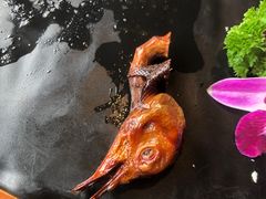 -大鸽饭(马王堆店)