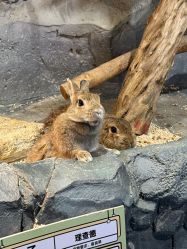 -Zoolung Zoolung动物主题公园(海信广场店)