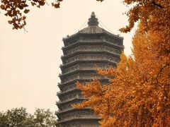 -玲珑塔公园