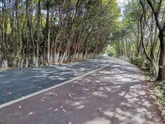 -艾溪湖湿地公园