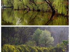 -黄陂区野村谷景区