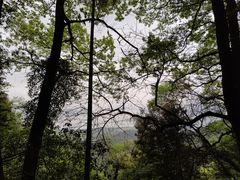 -西湖风景区十里琅珰-五云山