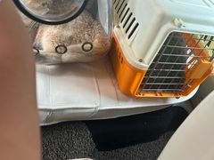 -瑞派康怡24h宠物医院·犬猫医疗中心·微创绝育(瑞景分院)
