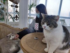 -共舞时光猫咖·狗咖(新街口店)