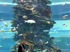 -福州罗源湾海洋世界旅游区