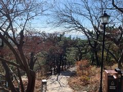 -信号山公园