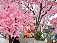 -首开·龙湖成都西宸天街