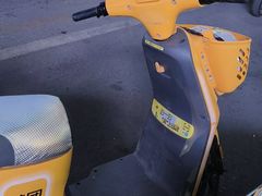 -大悦城(沈阳中街店)