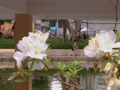 -晓港公园