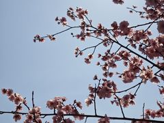 -白塘生态植物园