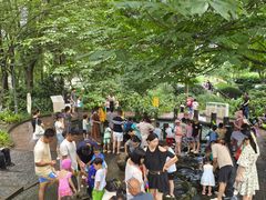 -成都市活水公园
