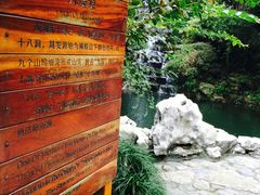 -十八棵（老龙井）御茶园(老龙井店)