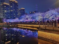-西北湖绿化广场