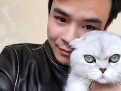 -Bastet sally猫舍购宠(静安店)