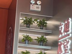 -文通冰室(东方宝泰店)