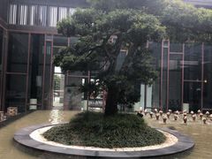 -上海崇明金茂凯悦酒店